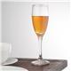 Olympia Solar Champagne Flutes 170ml (24 pack)