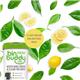 Bin Buddy Fresh Citrus Zing 450g - PACK (6)