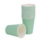 Fiesta Recyclable Single Wall Takeaway Coffee Cups Turquoise 340ml (50 Pack)