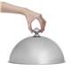 APS Plate Cloche 295mm