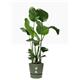 Elho Greenville Round INDOOR Pot & Base GREEN 30cm
