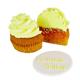 PME 100% Natural Food Colour - Lemon Yellow 25g