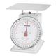 Vogue Platform Scale 20kg