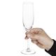 Olympia Novello Crystal Champagne Flutes 180ml (6 pack)