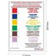 Hygiplas Colour Coded Wall Chart