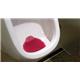 P-Wave Slant6 Urinal Screen Spiced Apple