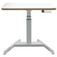 Leitz Ergo Small Electric Sit Standing Desk