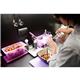 Pujadas Purple Polinorm Gastronorm Lid 1/2GN
