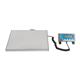 Brecknell Bench Scales 60kg WS60