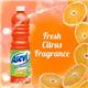 Asevi Orange Concentrated Floor Cleaner 1 Litre