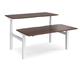 Elev8 Touch sit-stand back-to-back desks 1600mm x 1650mm - white frame, walnut top