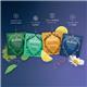 Pukka Organic Herbal and Green Tea Collection Tea Bags (Pack of 20) 802104