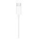 Apple EarPods Wired In-Ear Headset Calls/Music USB-C White MYQY3ZM/A