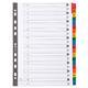 Exacompta Guildhall Mylar Index Coloured Tabs 20-Part A-Z A4 White 1111E