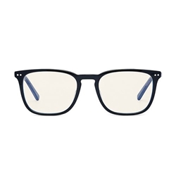 Bolle Safety Glasses Wellington Unisex Problu Glasses BOPRBWELL108