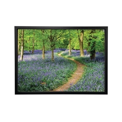 Walk Through The Bluebell Path Framed Print A2 16x24 Inches FP1STVCD16587A2S