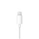 Apple EarPods Wired In-Ear Headset Calls/Music Lightning Connector White MWTY3ZM/A