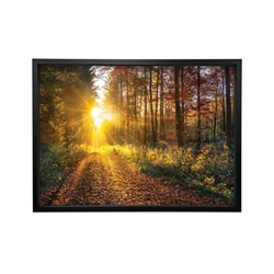 Woodland Walk In The Autumn Framed Print A2 16x24 Inches FP1STVCD30028A2S