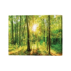 Green Forest Beauty Canvas Print 26x40 Inches SC1STVCD30130L