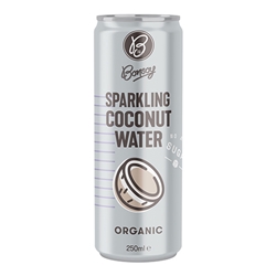 Bonsoy Organic Natural Sparkling Coconut Water 250ml 12