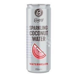 Bonsoy Sparkling Coconut Water With Watermelon 250Ml 12
