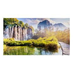 Samsung IE025R Black