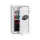 Phoenix Data Combi Safe (W655 x D560 x H1145mm, 2 Hours Fire Protection) DS2503E