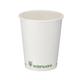 Single Wall Coffee Cup PLA Lined 8oz White (Pack of 1000) B01022