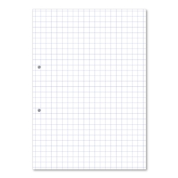 Loose Leaf A4 10mm Squared Punched 2 Hole 75gsm Exercise Paper (5 Reams)
