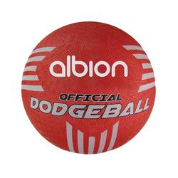 Albion Official Dodgeball 21cm Size 3 PP-15152-210
