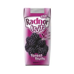 Radnor Hills Radnor Fruits Forest Fruits Tetra Pack 200Ml (Pack 24) T-Rf20stff/24