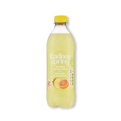 Radnor Hills Radnor Sparkling Spring Water Pineapple And Grapefruit 500Ml (Pack 24)