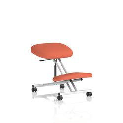 Kneeling Stool Silver Frame Bespoke Colour Quest Crab