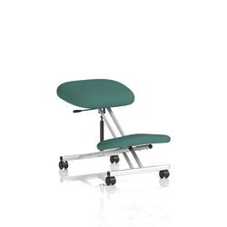 Kneeling Stool Silver Frame Bespoke Colour Quest Kelp