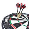Arrow180 Bristle Dartboard Set ARD00101