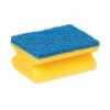 Scotch-Brite Delicate Non-Scratch Scrub Sponge (Pack of 12) 7100248036