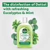 Dettol Concentrated Disinfectant Eucalyptus + Mint 3319738